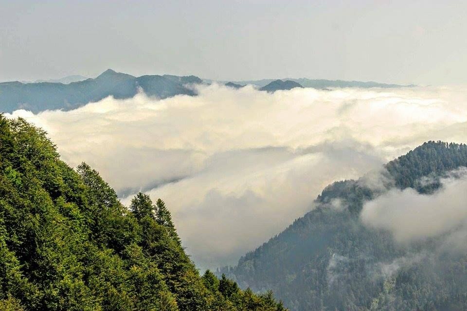 ტობავარჩხილი-ვერცხლის ტბა (- აგვისტო)