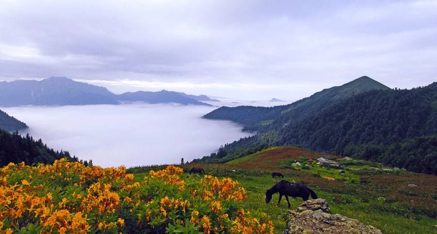 ტობავარჩხილი-ვერცხლის ტბა (- აგვისტო)