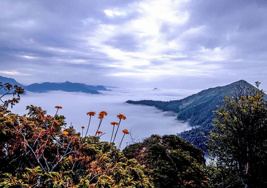 ტობავარჩხილი-ვერცხლის ტბა (- აგვისტო)