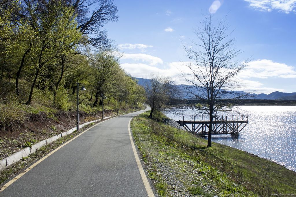 გრემი ნეკრესი იყალთო ილიას ტბა