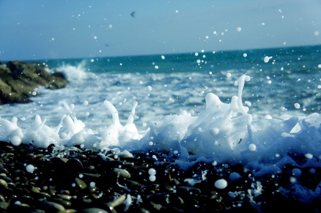 ნიცის ლაჟვარდოვანი სანაპიროები ივნისში