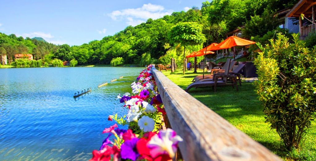 კახეთის დღიანი ტური