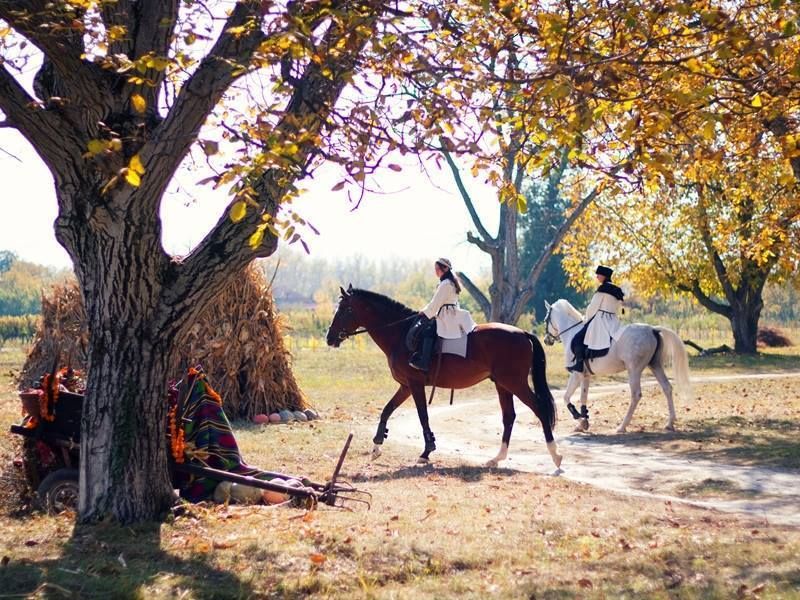 შატო-მუხრანი,თხოთის მთა,ძალისი,ქანდა