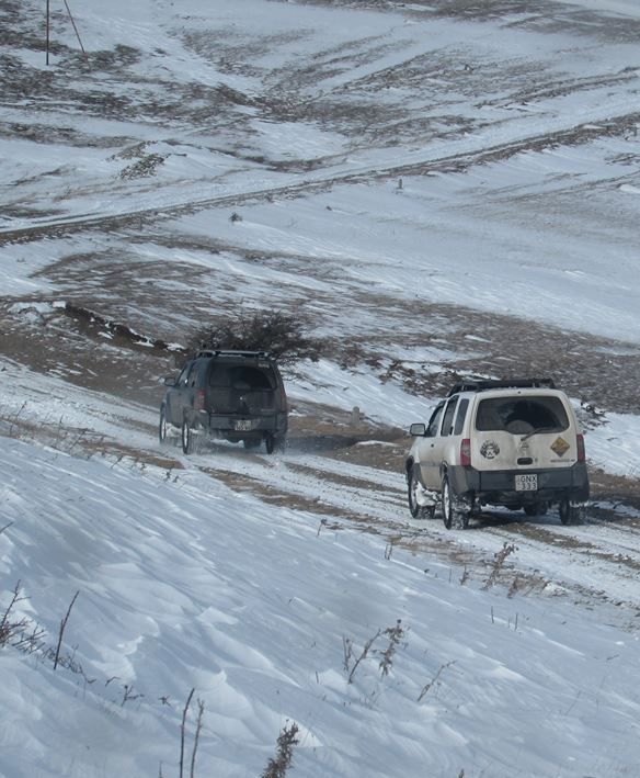 ტურები საქართველოს მასშტაბით