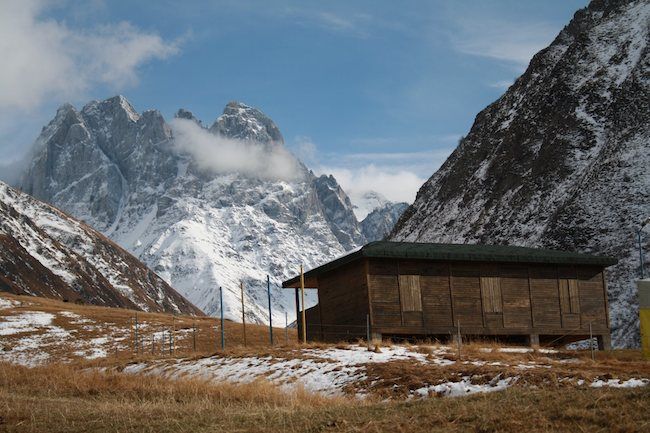 წამოდი ჯუთას <