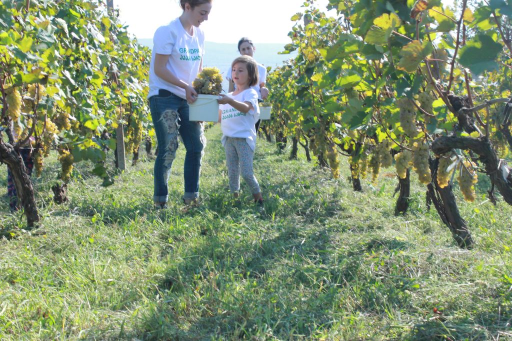 პაპას ღვინო
