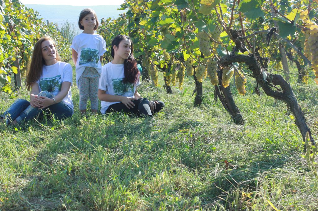 პაპას ღვინო