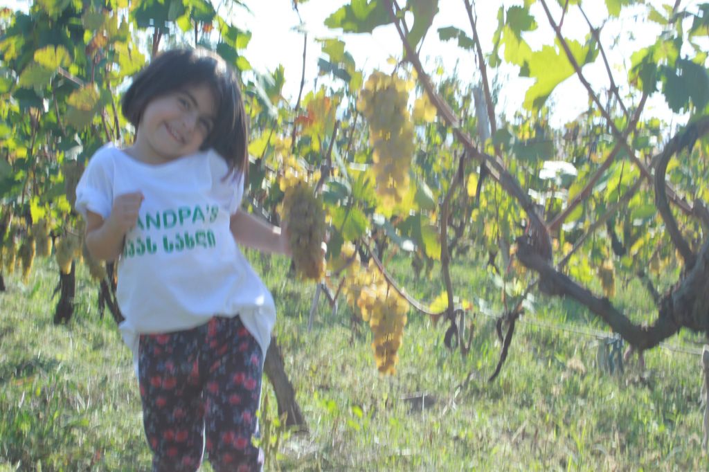 პაპას ღვინო