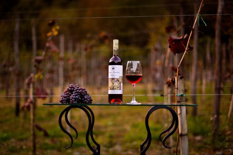 დღიანი კორპორატიული ტური