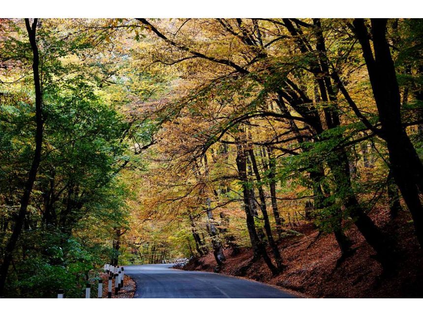 დღიანი კორპორატიული ტური