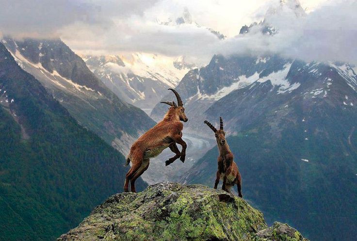 Индивидуальные туры в Грузию По самой низкой цене