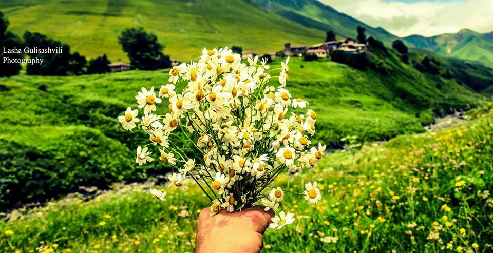 ხადას ხეობა  მაისს (Be TraveleR)