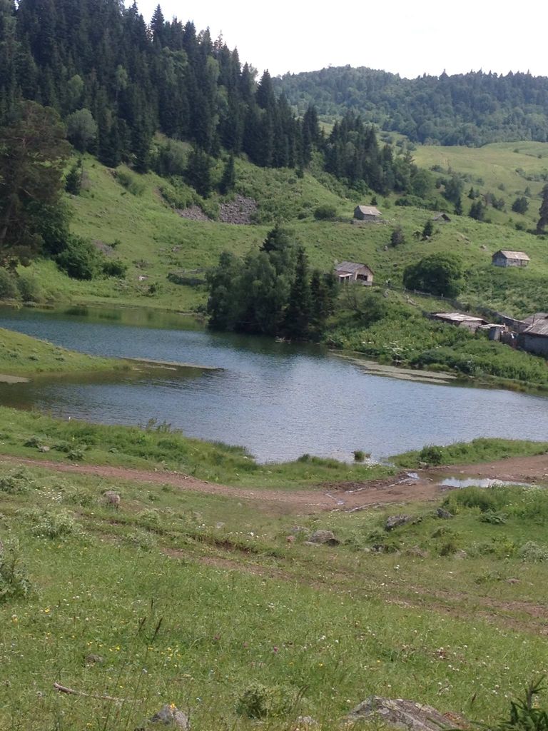 მწვანე ტურები ჯიპებით