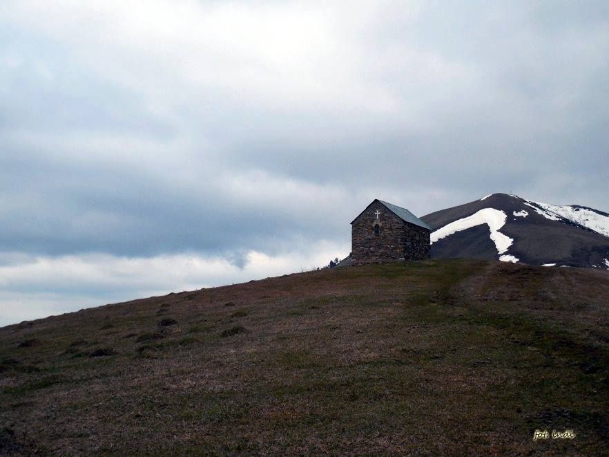 მწვანე ტურები ჯიპებით