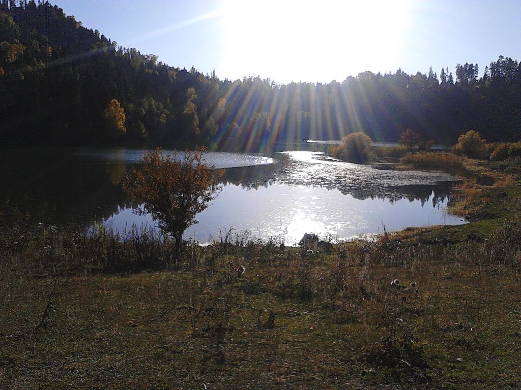 მწვანე ტურები ჯიპებით