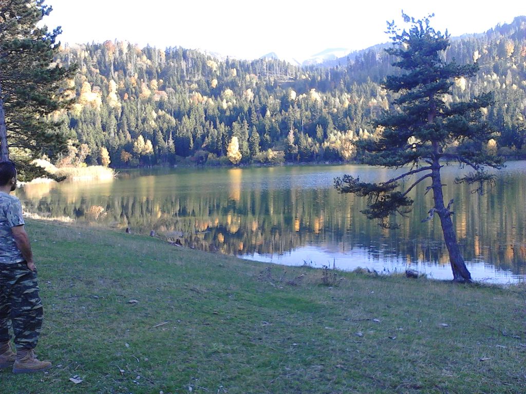 მწვანე ტურები ჯიპებით