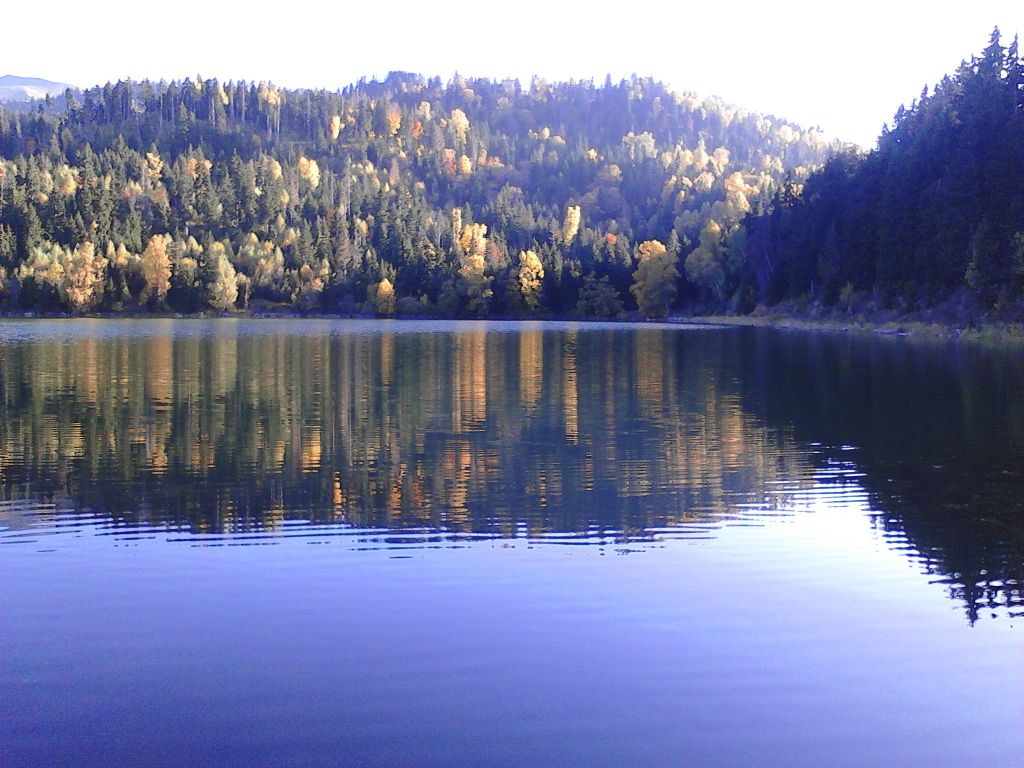 მწვანე ტურები ჯიპებით