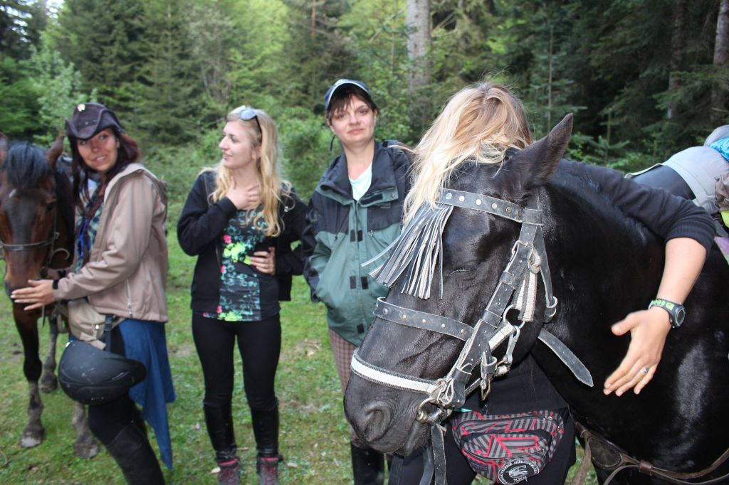 Horseback tours Borjomi