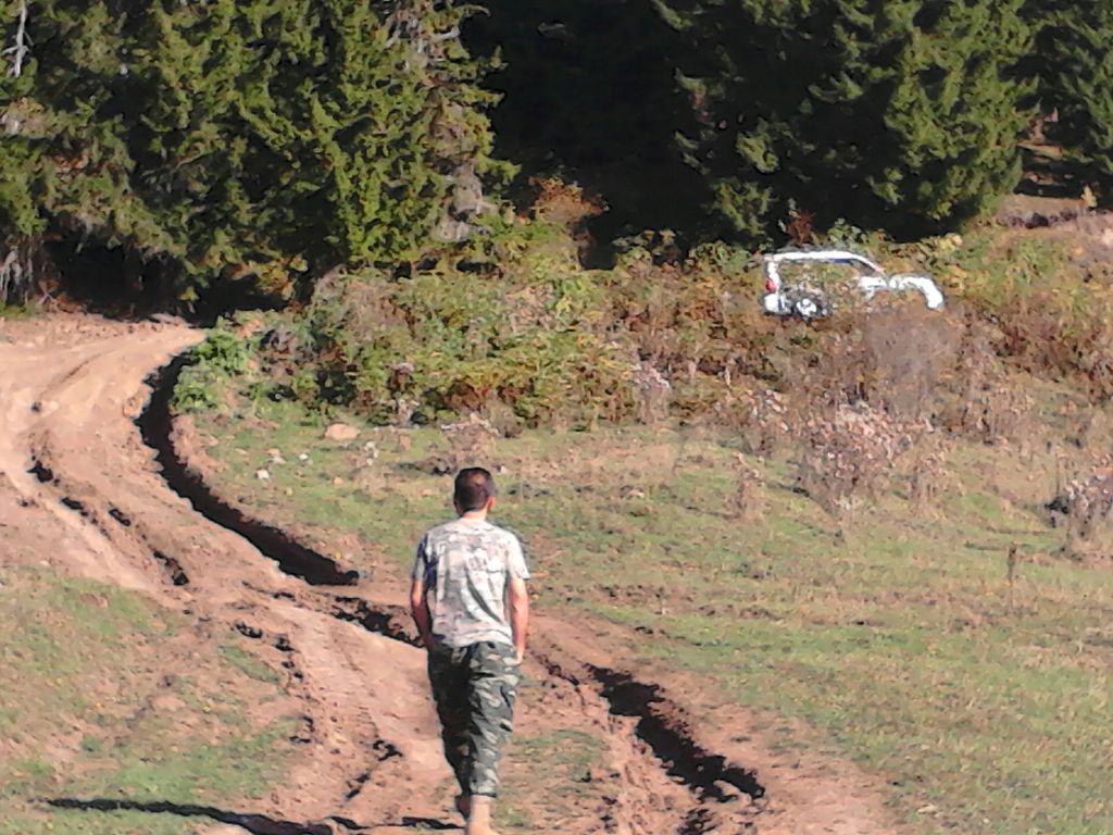 Конные туры Borjomi