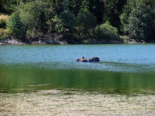 Конные туры Borjomi