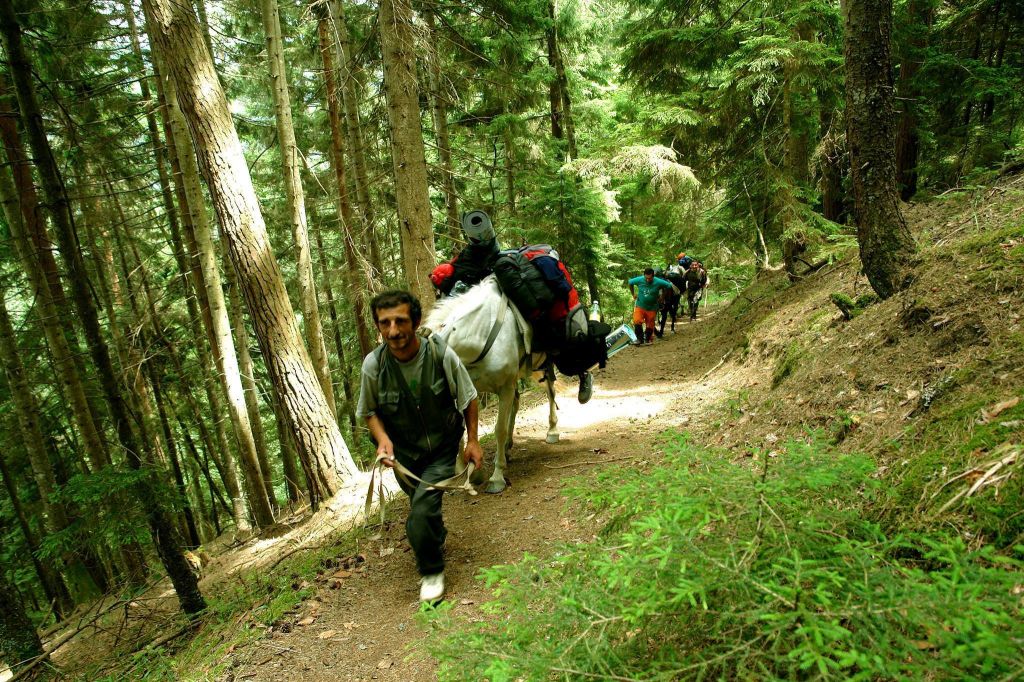 Конные туры Borjomi