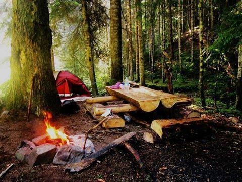 Конные туры Borjomi