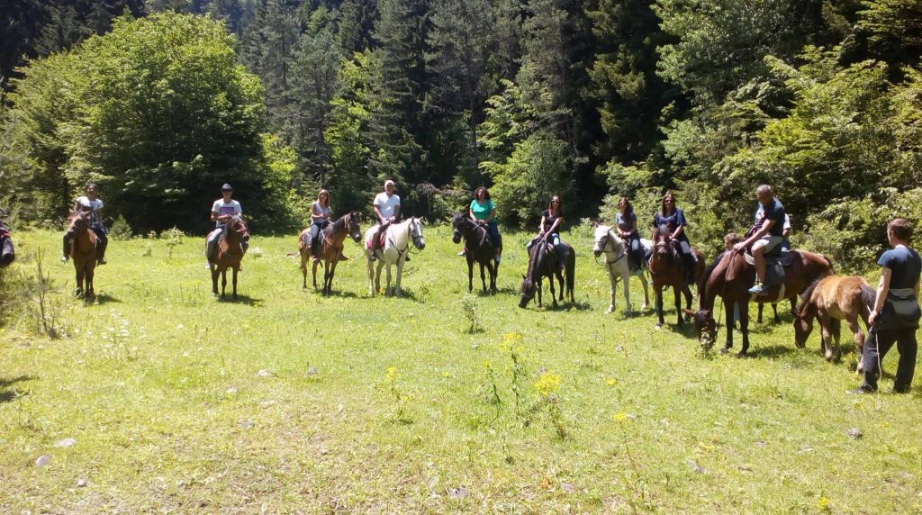 Horseback tours Borjomi