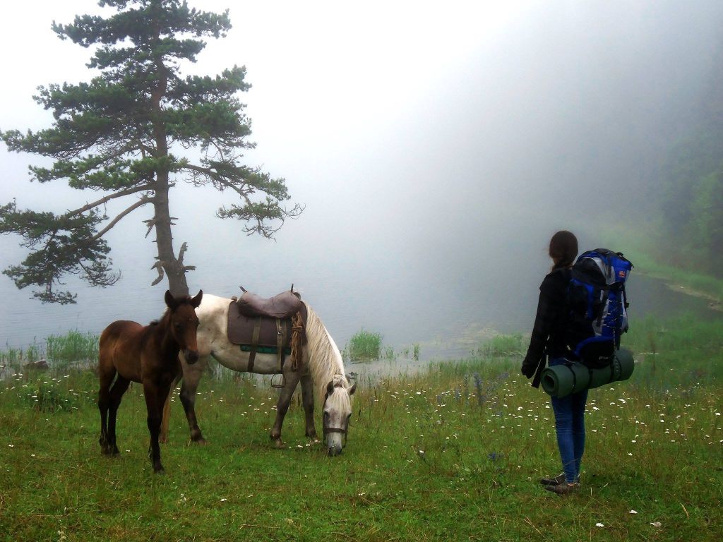 Конные туры Borjomi