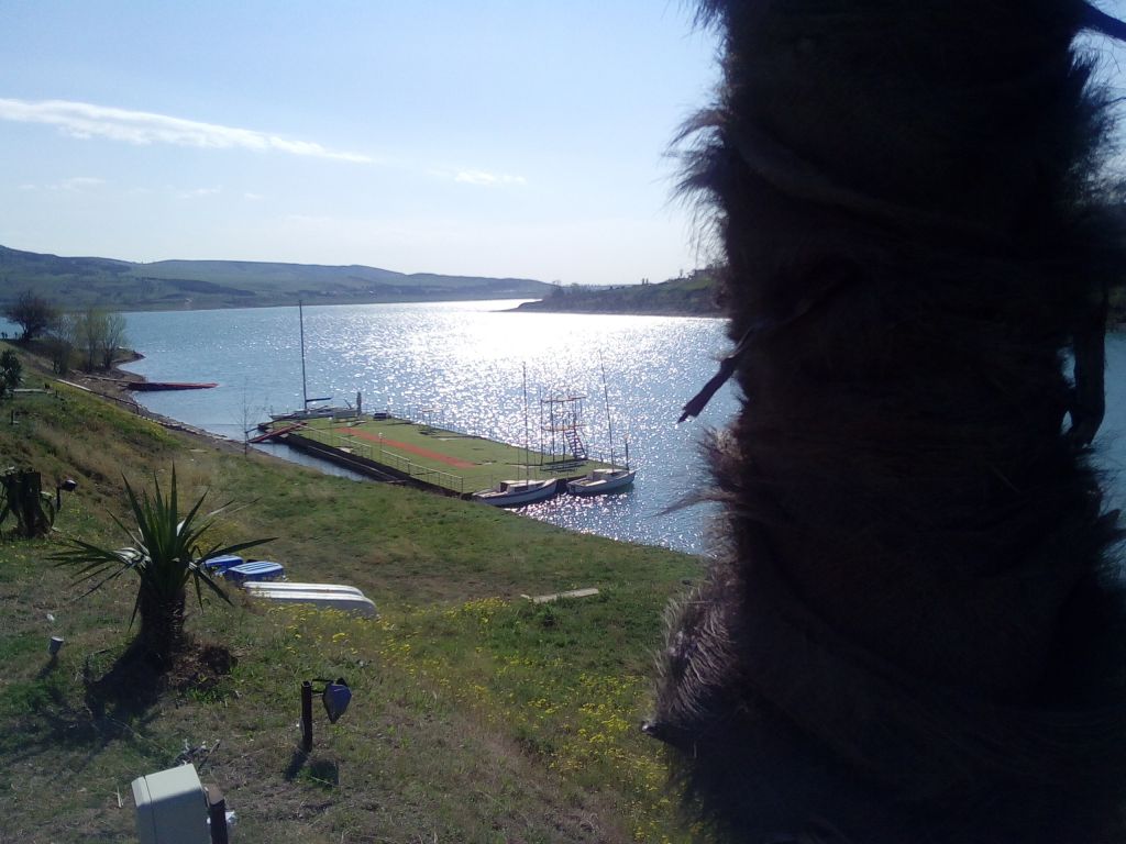 ტურები საქართველოში. .