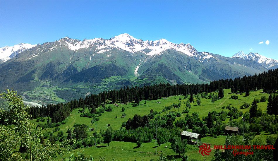 კავკასიური ნადიმი