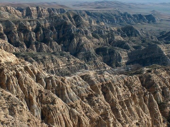 ტური ულამზეს ვაშლოვანში (სააქციო ფასად <)