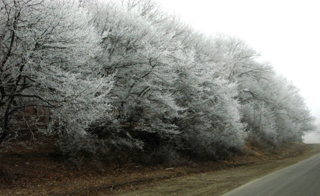 აპრილი ისტორიული სამშვილდე დარჩენილია ადგილი