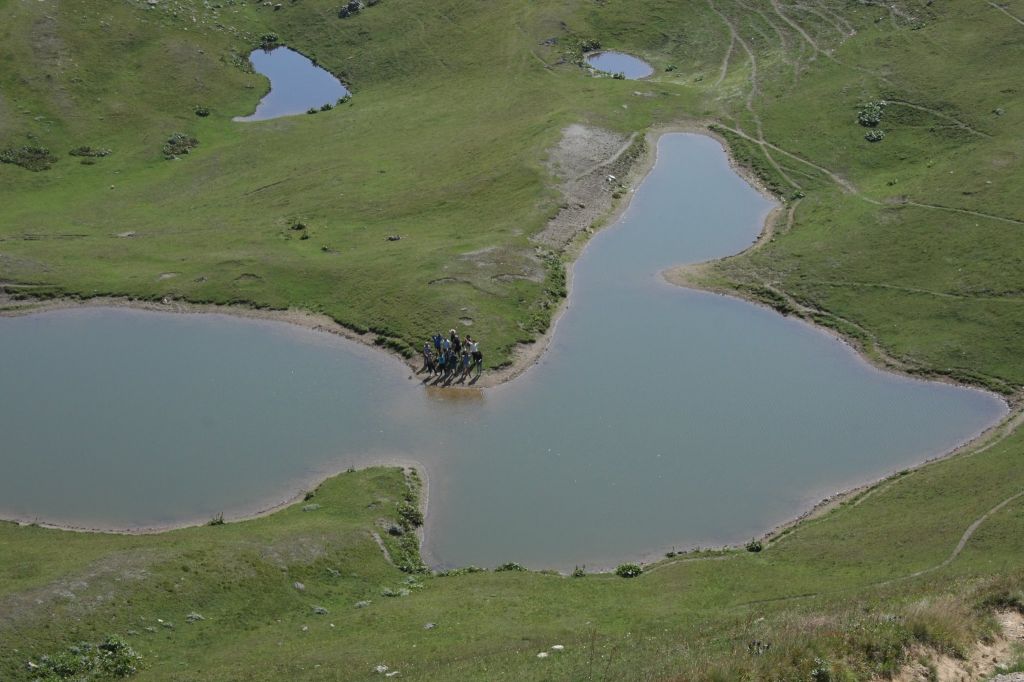 დაგეგმეთ ზაფხული ჩვენთან ერთად <
