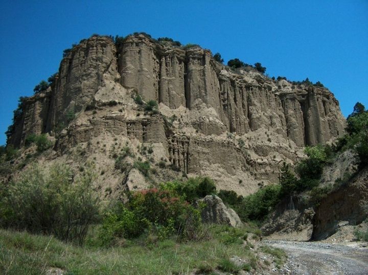 ვაშლოვანი-მირზაანი-ელია ! სულ ლ ა რ ა დ ! ! ! უკანასკნელი ადგილი ! ! ! წარმოუდგენელი აქცია !