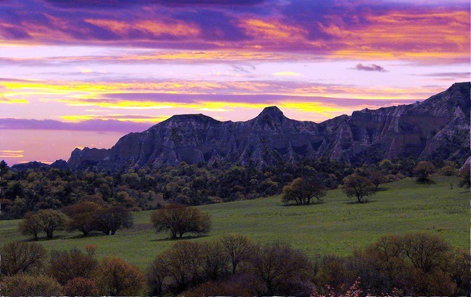 Тур Вашловани заповедник -  лари !