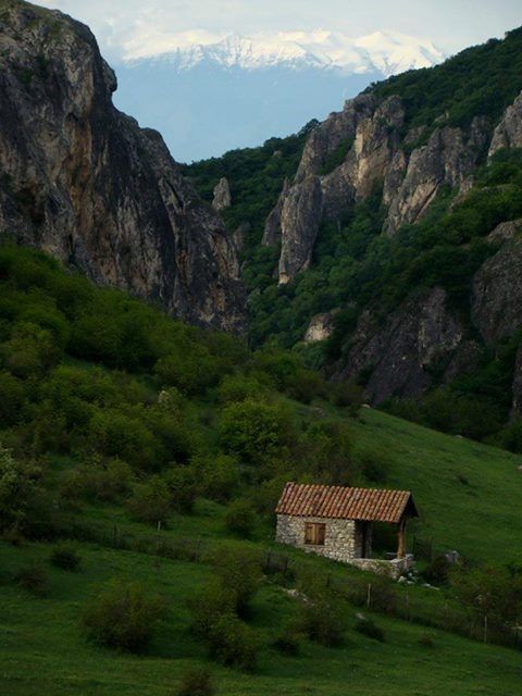 Тур Вашловани заповедник -  лари !