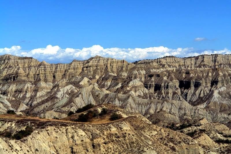 ვაშლოვანი-მირზაანი-ელია ! სულ ლ ა რ ა დ ! ! ! უკანასკნელი ადგილი ! ! ! წარმოუდგენელი აქცია !
