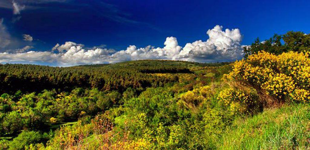 Самцхе - джавахети (Рабат, Вардзиа. Боржоми)