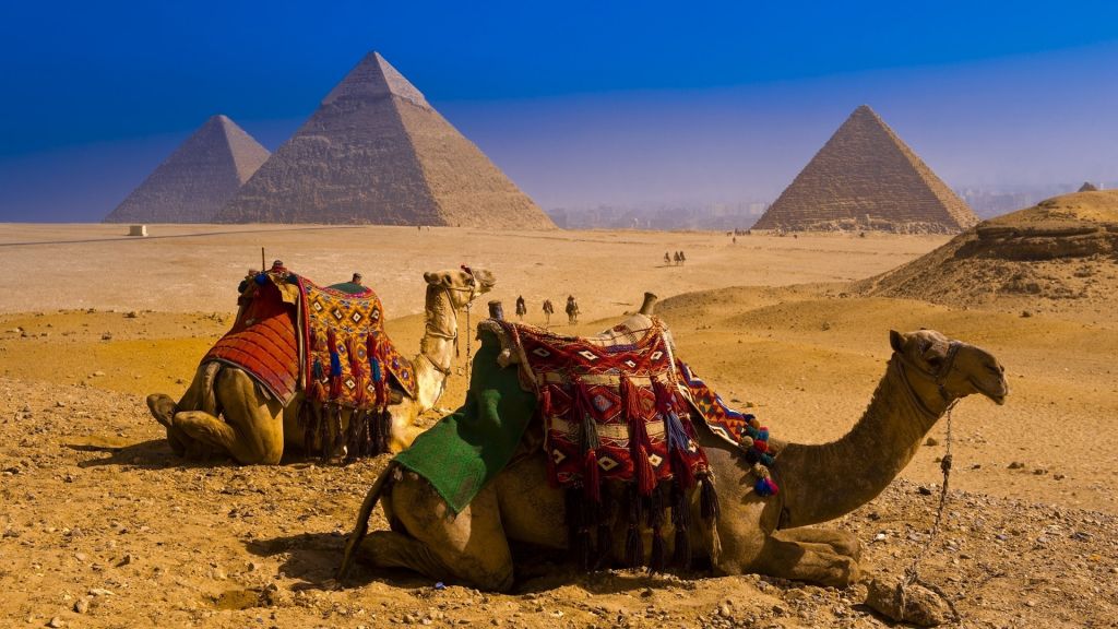 Tour In Egypt