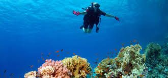 ეგვიპტე