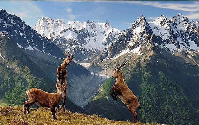 დღიანი ჯიპ ტური თუშეთში -- გვისტო (--)