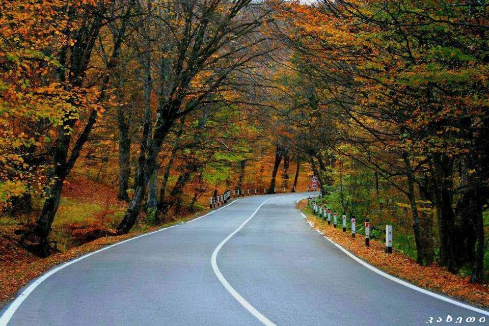 სასკოლო ექსკურსიები კახეთში