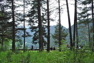 თუშეთის სეზონის გახსნა