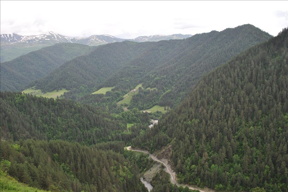 თუშეთის სეზონის გახსნა