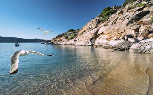 მოსალოდნელია ცხელი მაისი! უტყუარი ცნობები იუწყებიან, რომ ჰალკიდიკიზე დასვენება ევროდან იქნება შესაძლებელი!