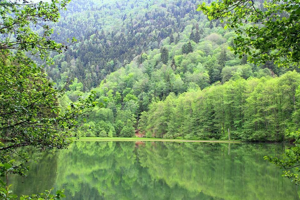 ძამას ხეობა: ბატეთის ტბა - ყინწვისი - ორთუბანი - სარკინეთი