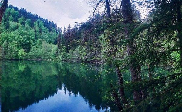 ძამას ხეობა: ბატეთის ტბა - ყინწვისი - ორთუბანი - სარკინეთი