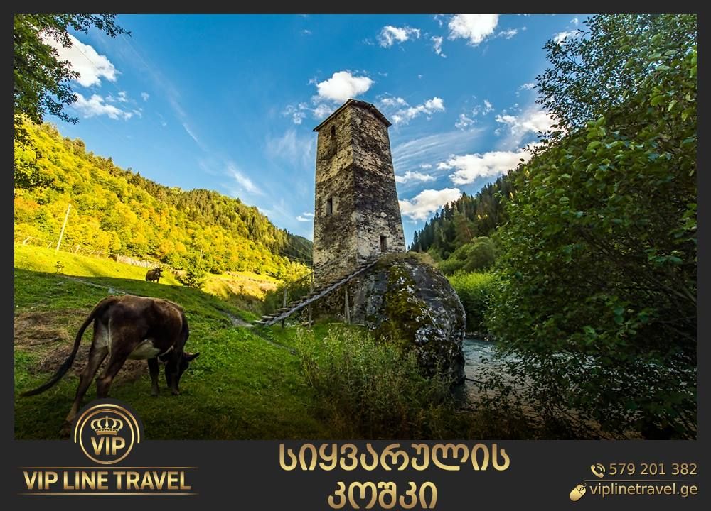 ტური სვანეთში(მესტია, უშგული)