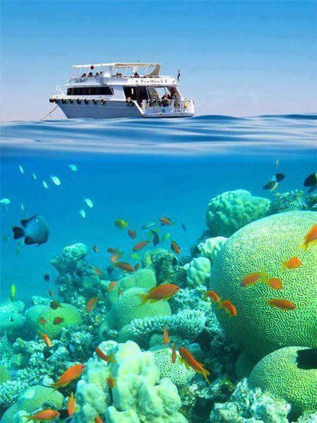 ჰურგადა წარმოუდგენლად დაბალ ფასად!!!