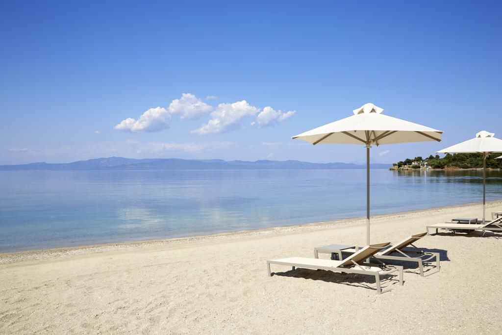 ჰალკიდიკი ევროდან!